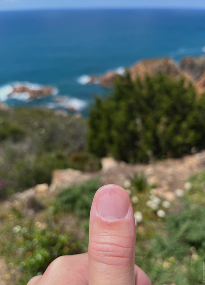 The thorn under the nail and the sea in the background.